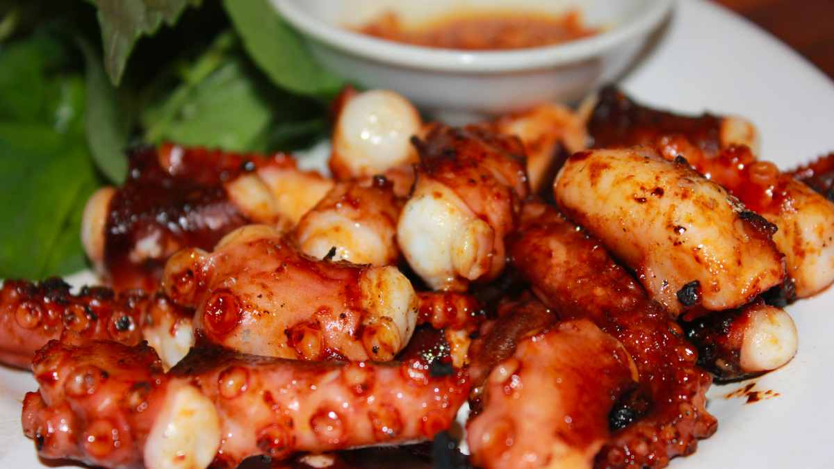 Bạch tuộc